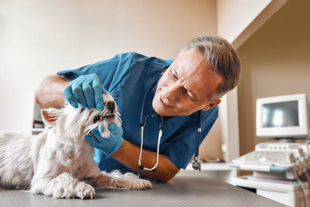 Best Emergency Wisdom Tooth Extraction in Grand Coulee, WA