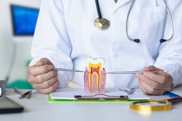 Best Emergency Root Canal Therapy in Grand Coulee, WA